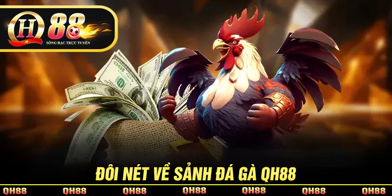 Đá Gà QH88 - Sảnh Chọi Gà Trực Tuyến Kịch Tính, Hấp Dẫn