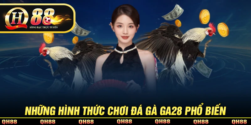 Sảnh Đá Gà GA28 - Đấu Trường Đá Gà Đẳng Cấp Tại QH88