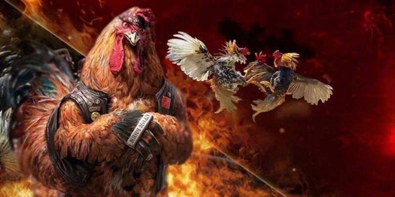 Đá gà SUN88 trải nghiệm đỉnh cao và bí quyết chiến thắng