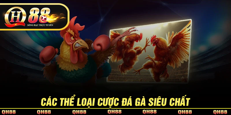 Đá Gà QH88 - Sảnh Chọi Gà Trực Tuyến Kịch Tính, Hấp Dẫn