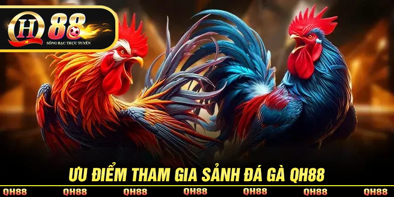Đá Gà QH88 - Sảnh Chọi Gà Trực Tuyến Kịch Tính, Hấp Dẫn